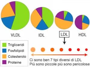 Colesterolo alto: cause, cure, dieta quando preoccuparsi - 10 domande frequenti 10 Il colesterolo alto è un valore di scarso significato. Ha senso dosare solo alcune specifiche lipoproteine appartenenti alla classe LDL