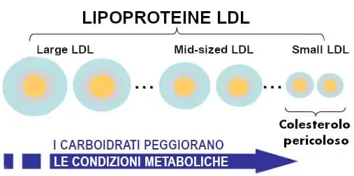 Colesterolo alto: cause, cure, dieta quando preoccuparsi - 10 domande frequenti 5 Colesterolo pericoloso quano le lipoproteine denominate sdLDL aumentano a causa dell'eccesso di carboidrati nella dieta