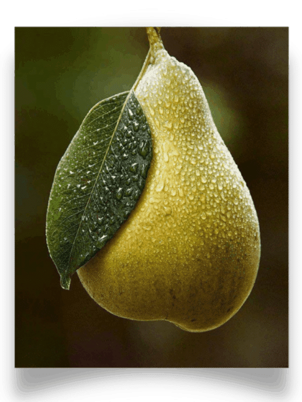 pera Umidità interna esterna