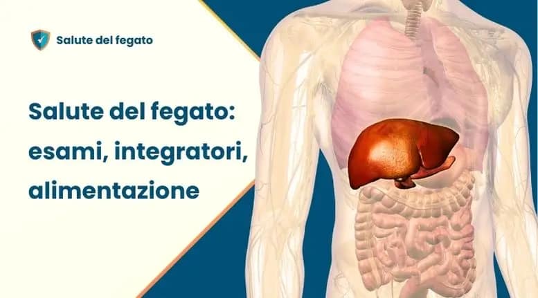 Salute del fegato 2 salute del fegato