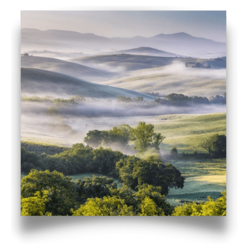 Debolezza muscolare nelle braccia e nelle gambe 3 paesaggio nebbia per debolezza musscolare