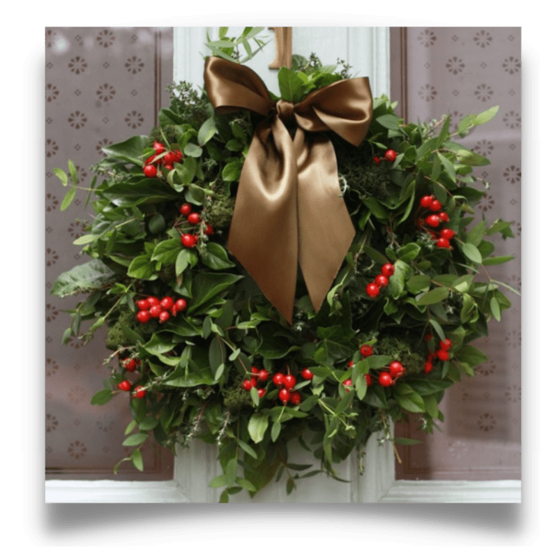 sempreverde soslstizio-d'inverno sempreverde