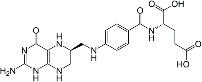 Acido folico funzioni, fabbisogno, benefici, effetti avversi 4 Structure of 5 MTHF acido folico