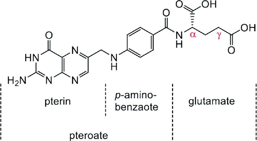Acido folico funzioni, fabbisogno, benefici, effetti avversi 3 Structure of folic acid acido folico