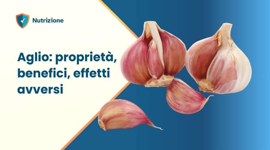 Aglio: proprietà, benefici, effetti avversi 2 Aglio: proprieta, benefici, effetti avversi