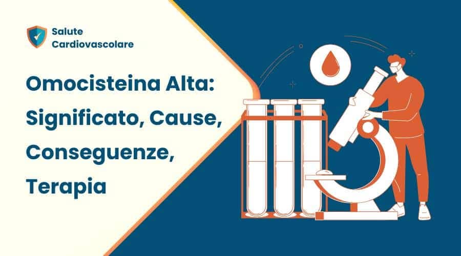 Omocisteina alta cause, conseguenze, terapia 2 Omocisteina alta: significato, cause, conseguenze, terapia