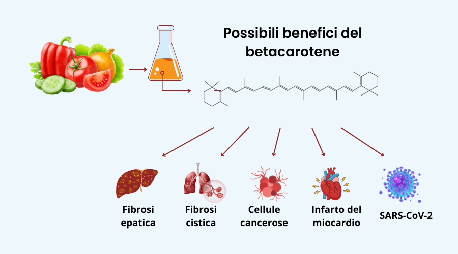 Betacarotene benefici, dosaggi, effetti avversi 2 Benefici del Betacarotene