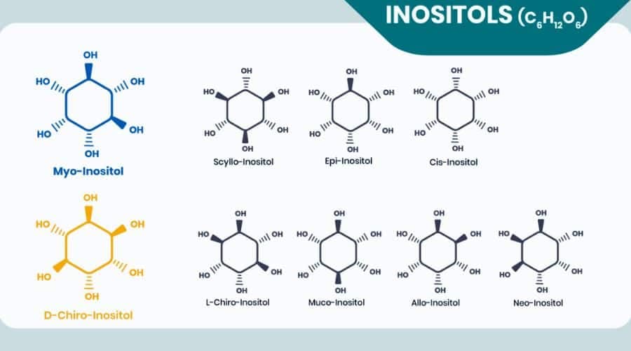 Inositolo: funzioni e 6 benefici dell’integrazione 2 Inositolo benefici dell’integrazione: 6 effetti potenziali