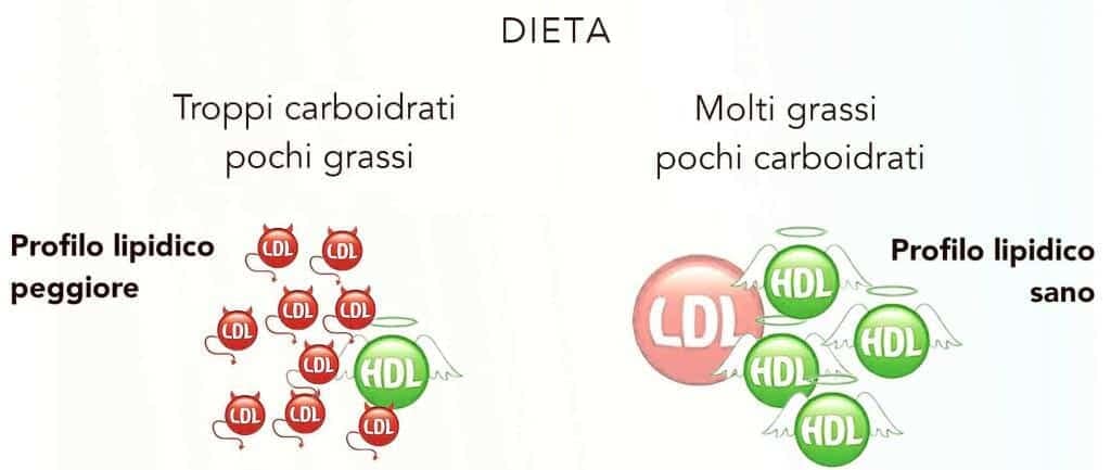 Aterosclerosi: cause, cure, esami, test clinico 5 Aterosclerosi e alimentazione