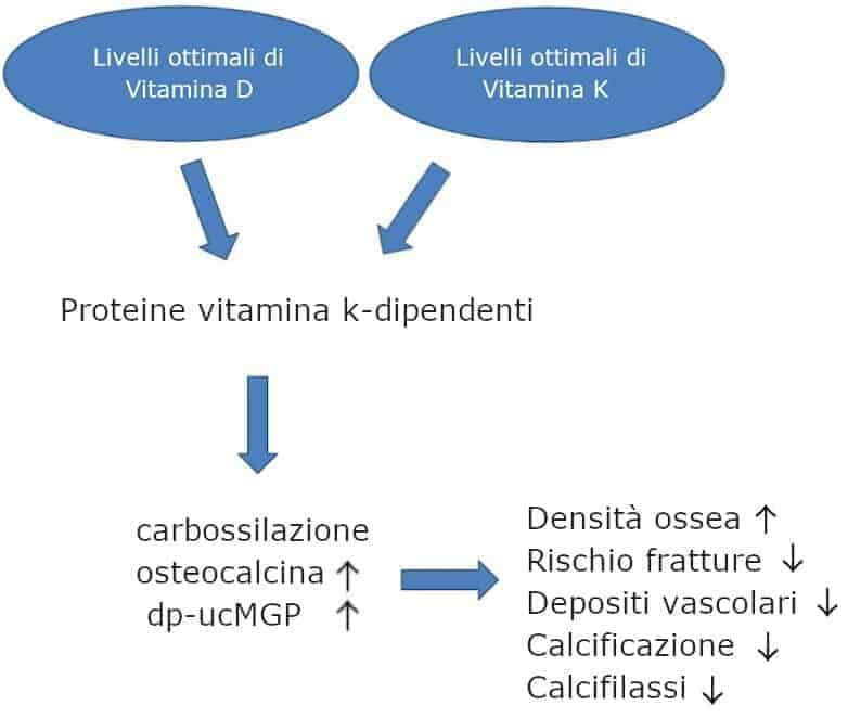 interazioni vitamina d3 e k2 