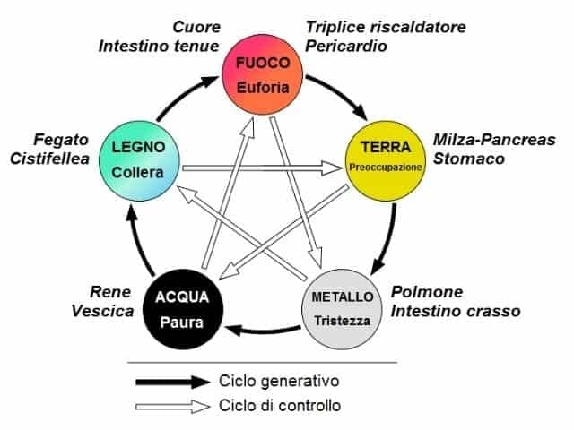 I 5 elementi nella Medicina Tradizionale Cinese
