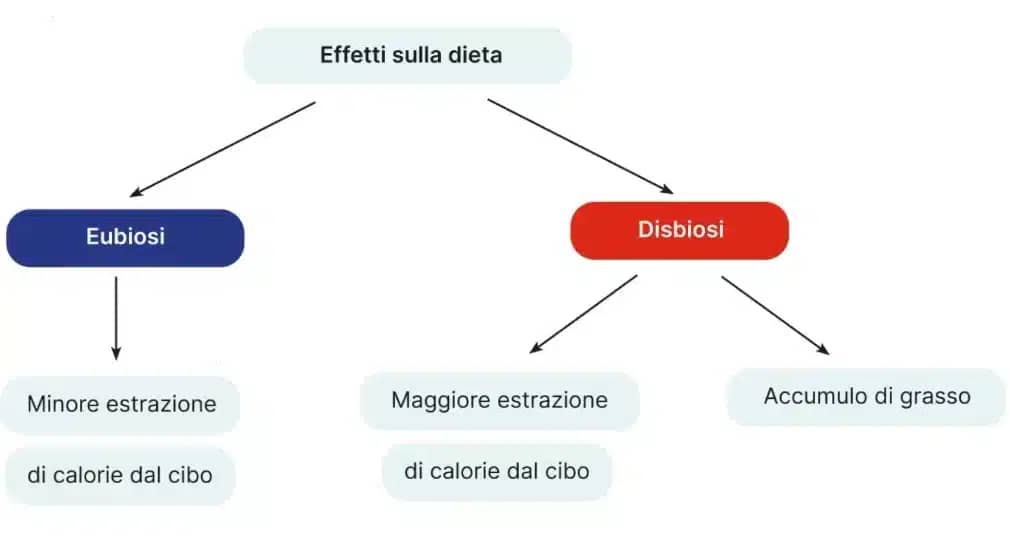 Mi presento 4 come il microbiota modifica gli effetti della nutrizione