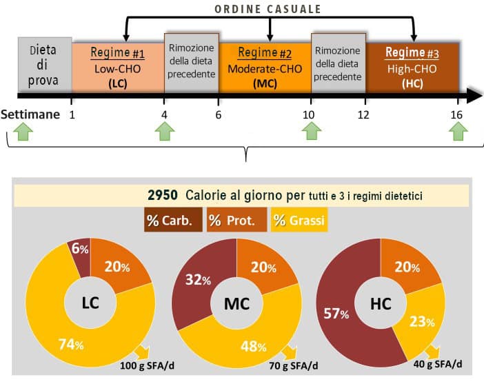 dieta low carb - studio clinico dimostra benefici cardiovascolari e miglioramento di alcuni parametri fisiologici in assenza di perdita di peso