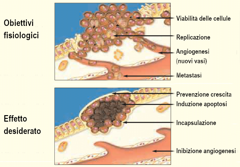 Obiettivi fisiologici per contrastare le metastasi tramite combinazioni di micronutrienti selezionati.