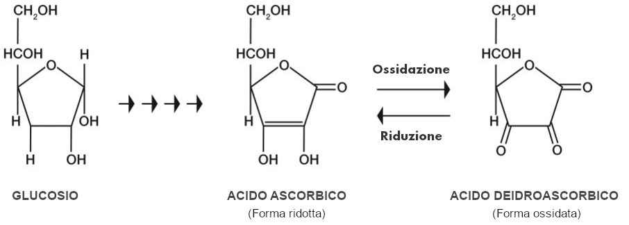 Vitamina C acido ascorbico
