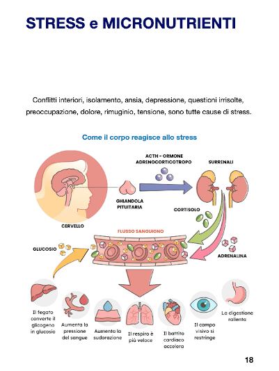 Micronutrienti anteprima libro come ridurre ansia e stress