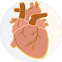 Salute cardiovascolare