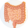 Esigenze di salute e benessere per categoria 2 digestione e salute dell'intestino